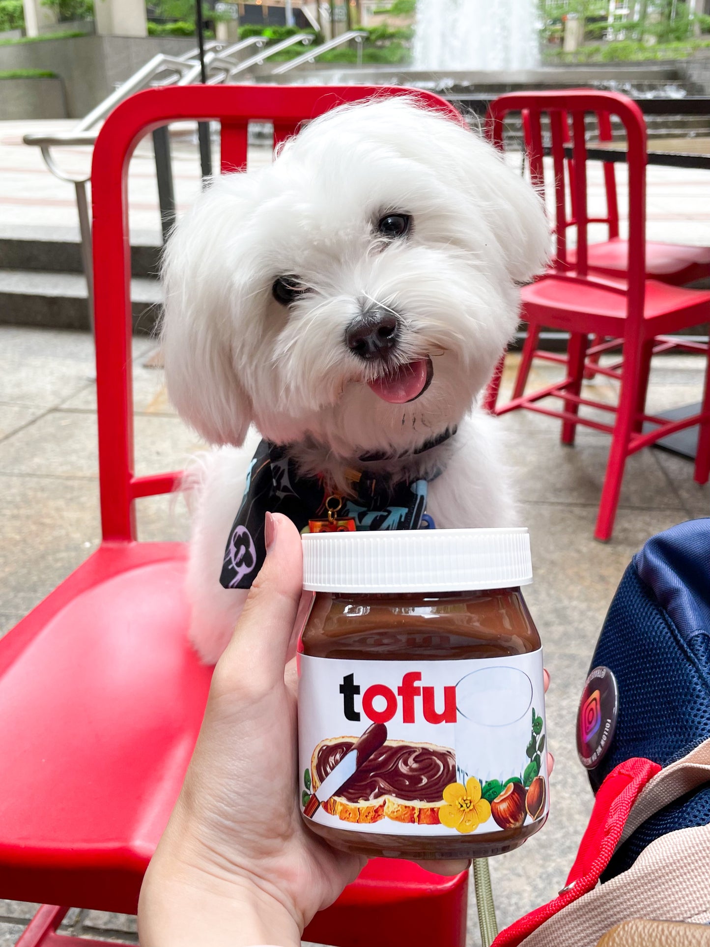 Tofu Nutella Postcard