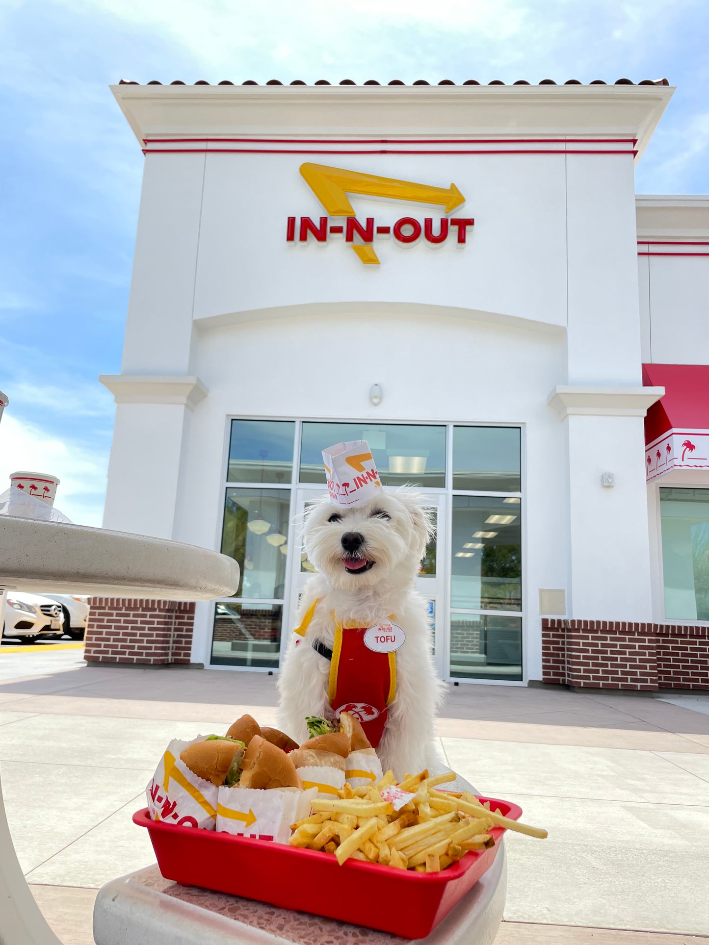 Tofu the In N out staff Postcard