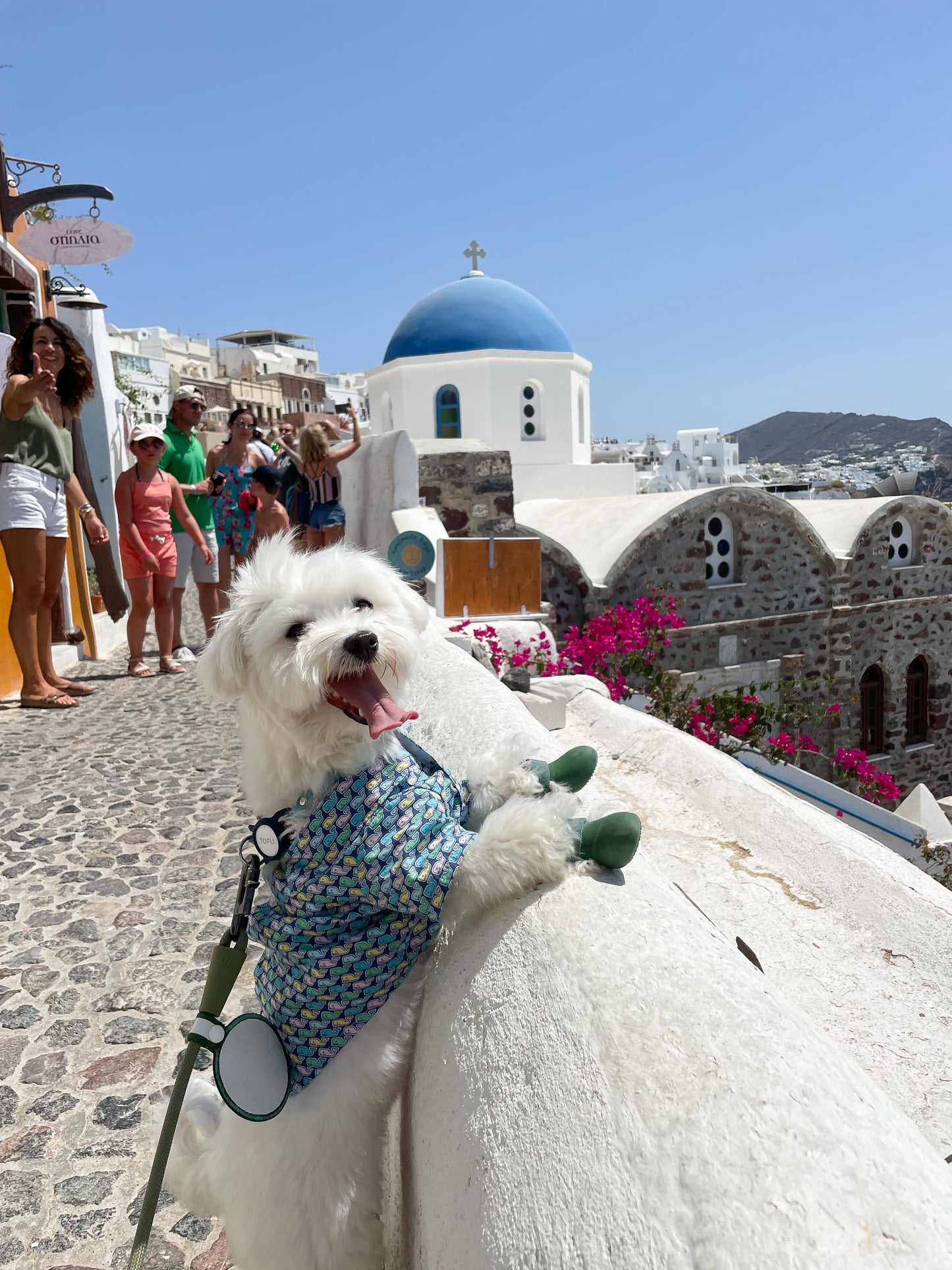 Hello Santorini Postcard