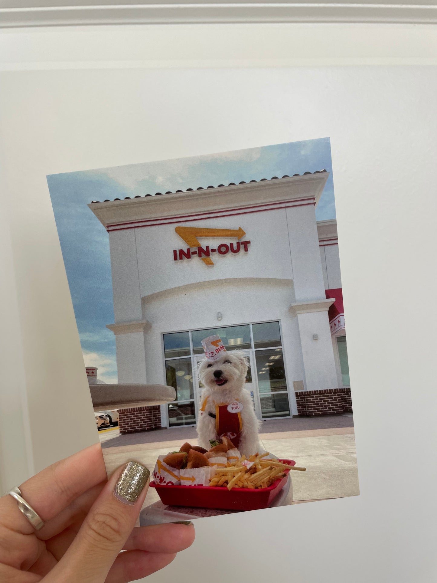 Tofu the In N out staff Postcard