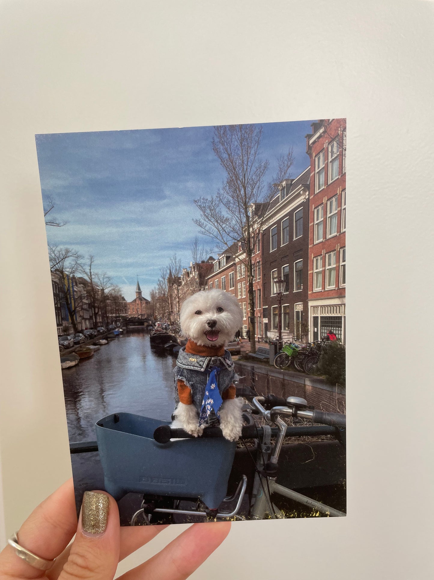 Tofu in Amsterdam Postcard