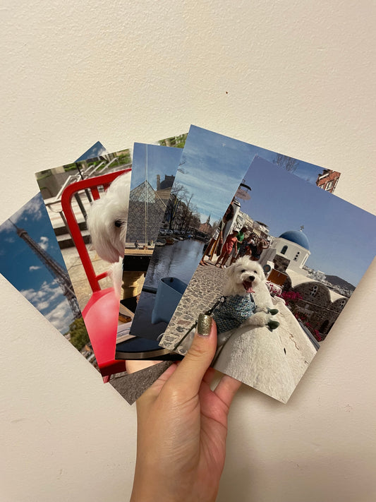 Five Tofu Postcards