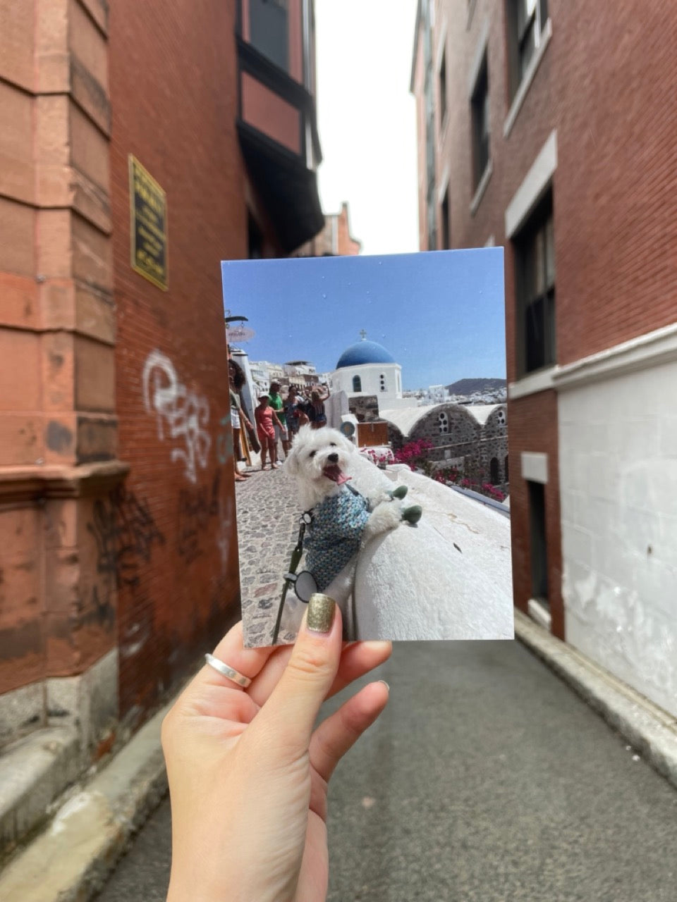 Hello Santorini Postcard