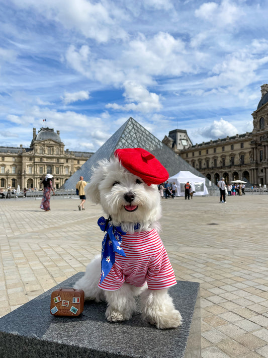 Me & the Lourve Postcard